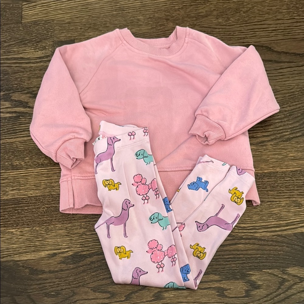 Zara Kid’s Sweater and Dog Leggings